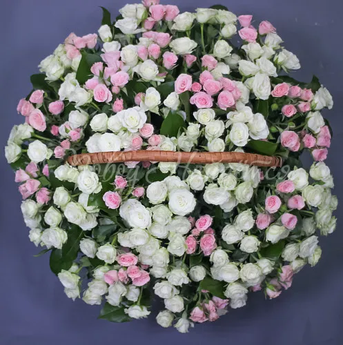 Кустовые розы Букет Баронесса