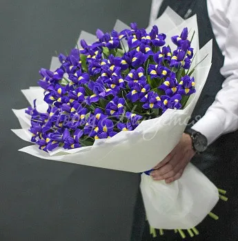 Букет коллеге Букет 51 ирис