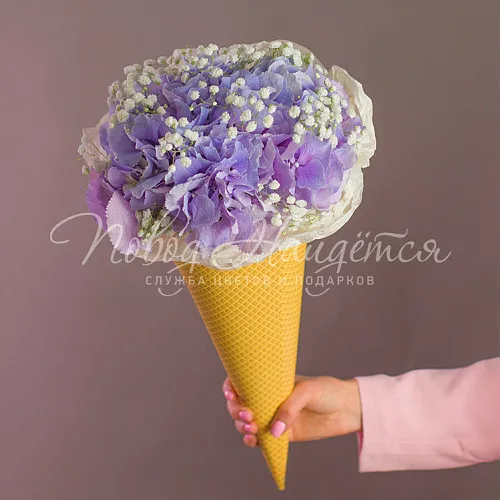 ГОРТЕНЗИИ Букет Виноградный сорбет