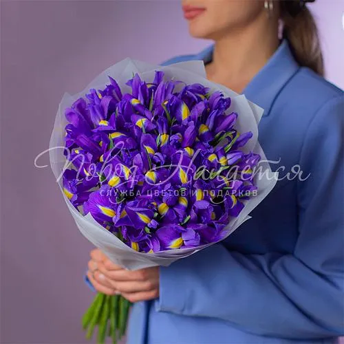 Цветы Букет 25 ирисов