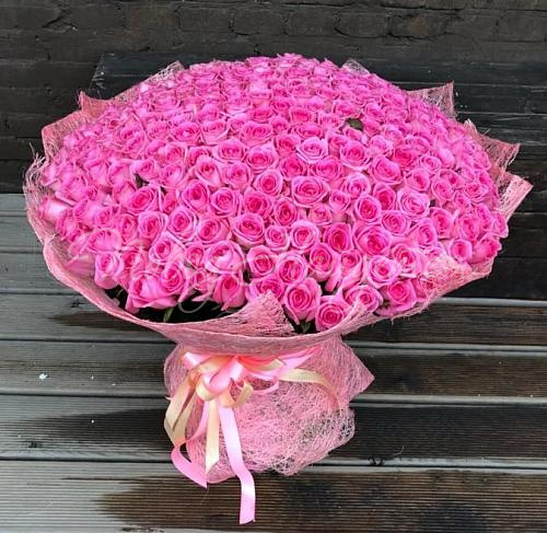 301 роза Букет Гаага