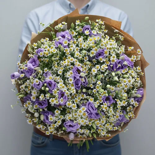 РОМАШКИ Букет Милан