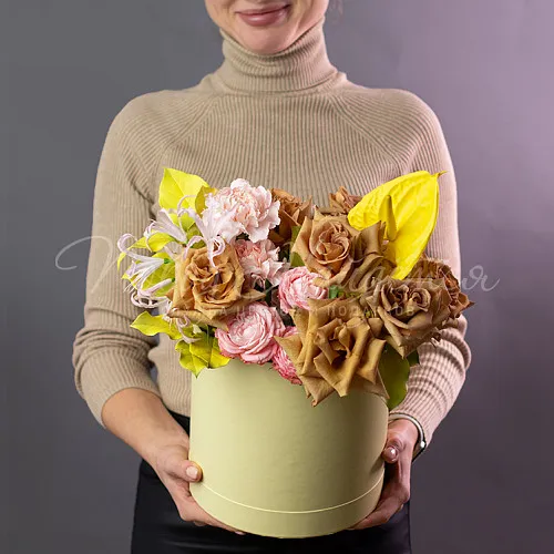 Италия Коллекция Джованни