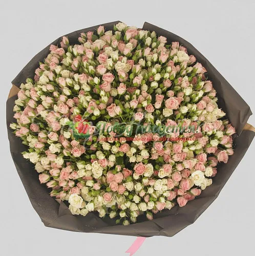 101 роза Букет Августа