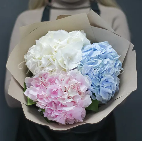 ГОРТЕНЗИИ Букет Порту