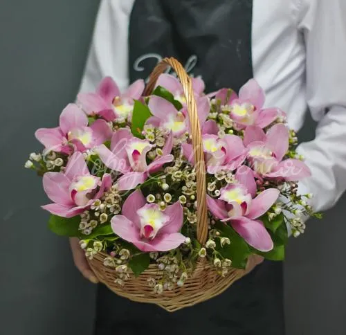 Корзины с орхидеями Корзина Тулуза