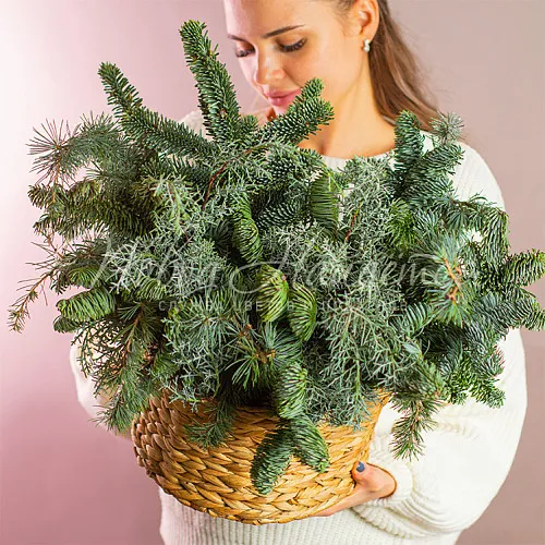 Новый год Фея волшебного леса