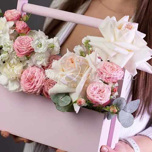 Франция Коллекция Шампань