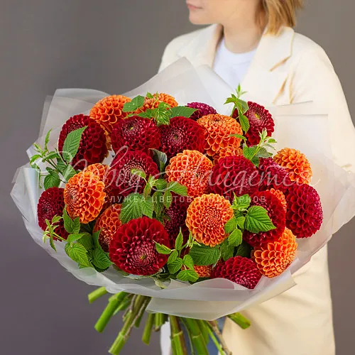 ГЕОРГИНЫ Букет Гранатовое небо