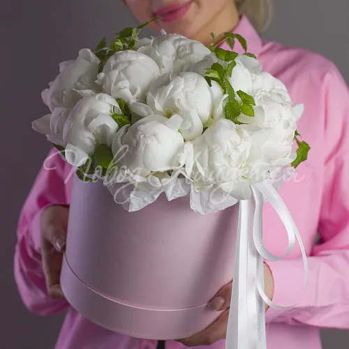 ПИОНЫ Букет Олли