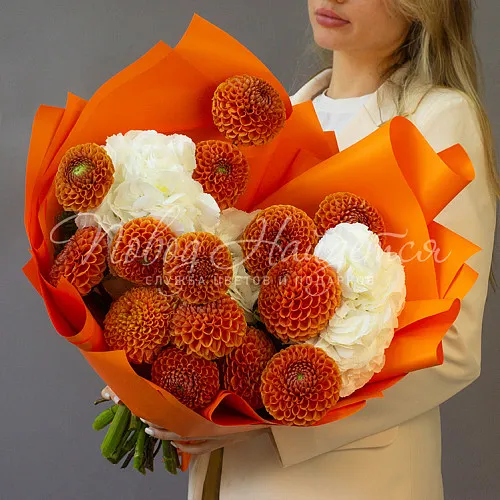 ГОРТЕНЗИИ Букет Персиковое Парфе