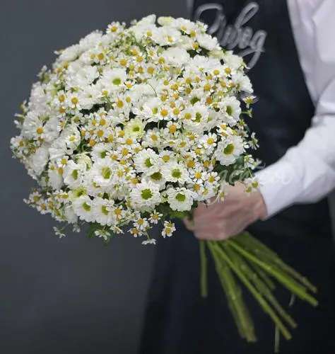 РОМАШКИ Букет Полевые