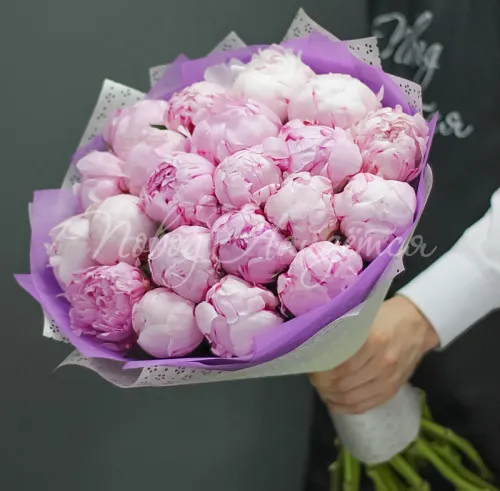 ПИОНЫ Букет Сказочный