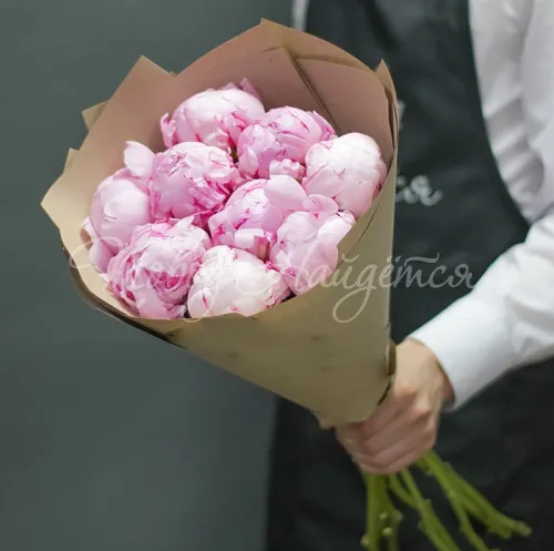 ПИОНЫ Букет Джесси Джей