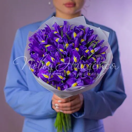 Цветы Букет 25 ирисов