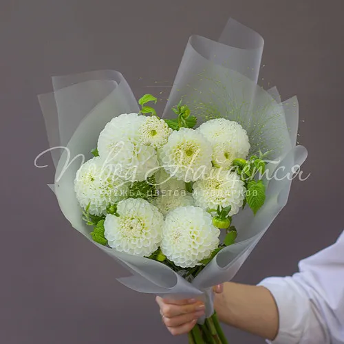 ГЕОРГИНЫ Букет Сладкие яблочки