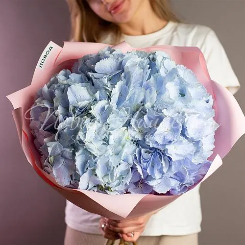 Букеты с ГОРТЕНЗИЯМИ Букет Вега