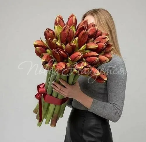 Цветы Букет 21 амариллис 