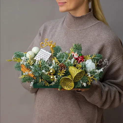 Новый год Снежные забавы