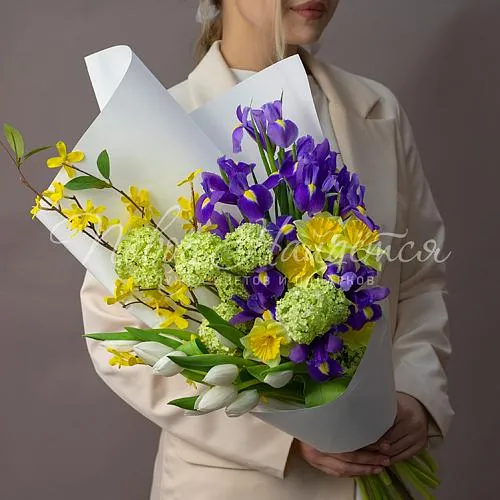 ИРИСЫ Букет Франческа