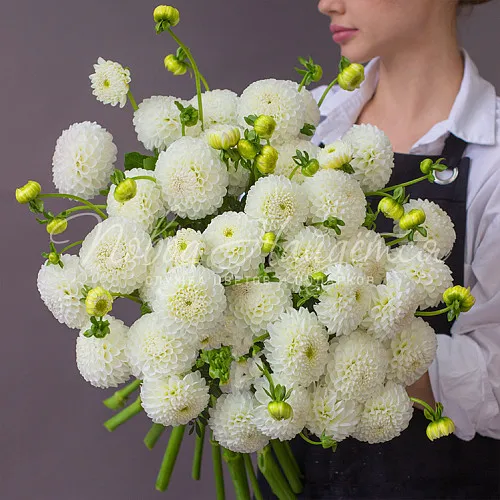 Цветы Букет По дороге к счастью