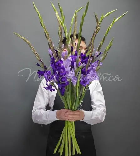 ГЛАДИОЛУСЫ Букет Моя мечта