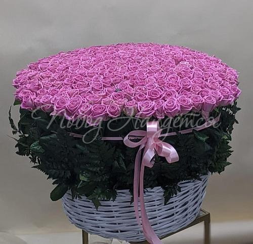 501 роза Букет Ханой