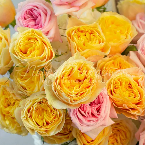 Розы Букет Райская птица