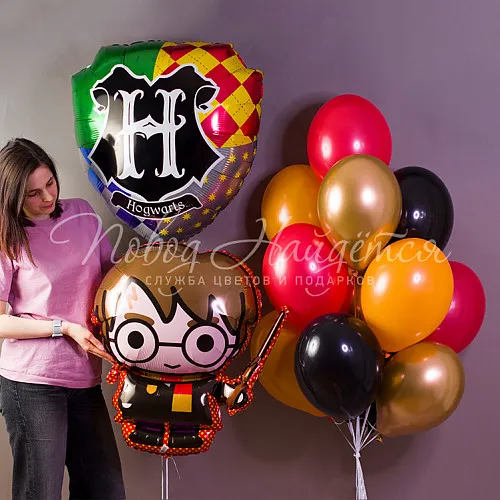Обычные шары, облака из шаров Облако шаров "Гарри"