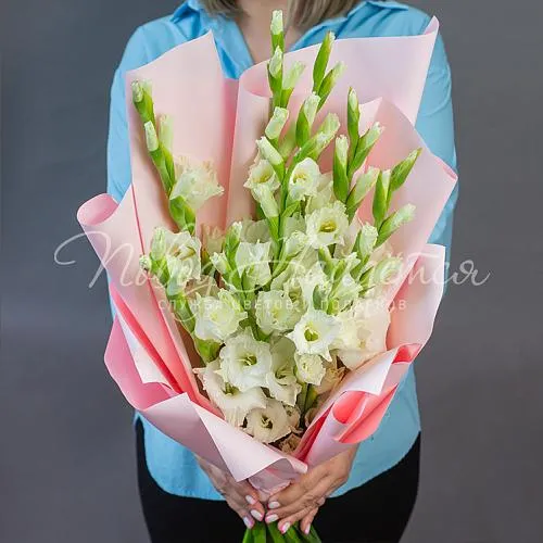 ГЛАДИОЛУСЫ Букет Робкий взгляд