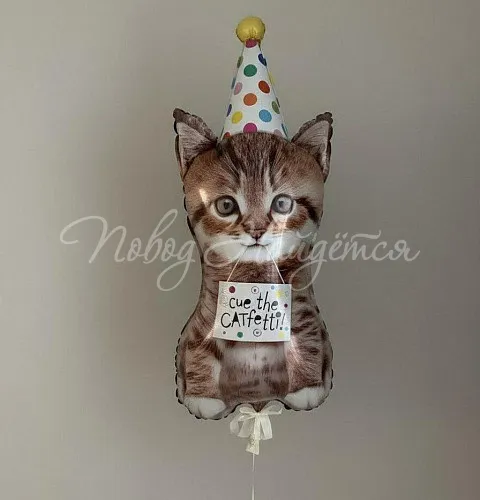 Шары Шары Котенок в колпаке