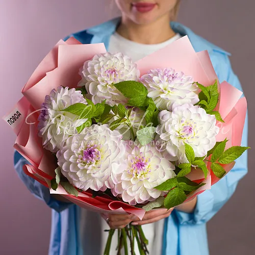 ГЕОРГИНЫ Букет Круизная история