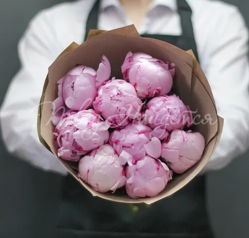 ПИОНЫ Букет Джесси Джей