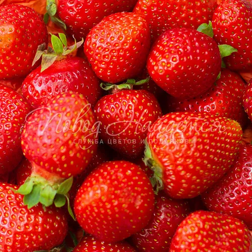 Фруктовые корзины Клубничное настроение