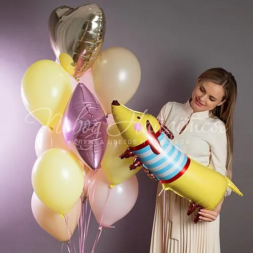 Воздушные шары Облако шаров "Французские улочки"