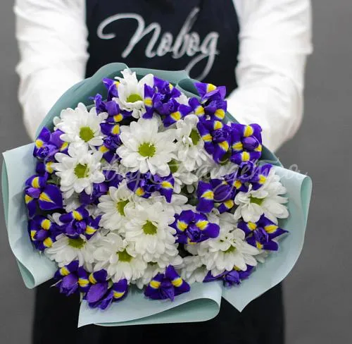 ХРИЗАНТЕМЫ Букет Застенчивая