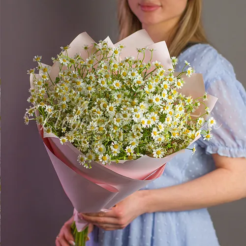РОМАШКИ Букет Камилла