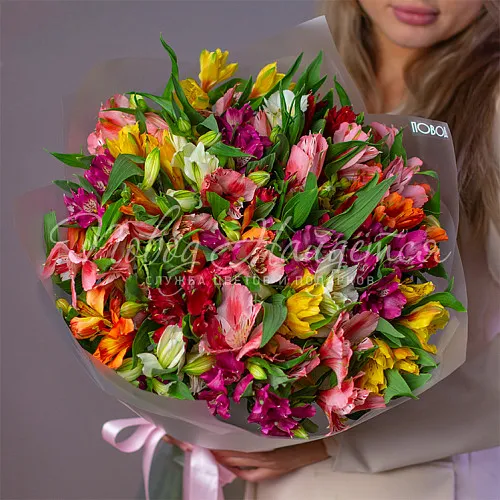 Монобукеты из альстромерии Букет Салют