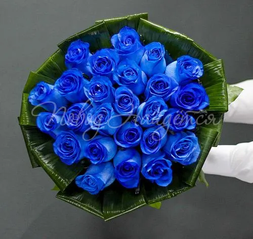 25 роз Букет Инсбрук
