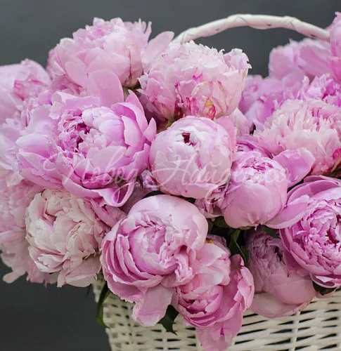 ПИОНЫ Букет Великолепие Италии