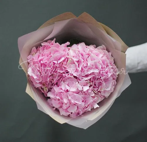 ГОРТЕНЗИИ Букет Розовый комплимент