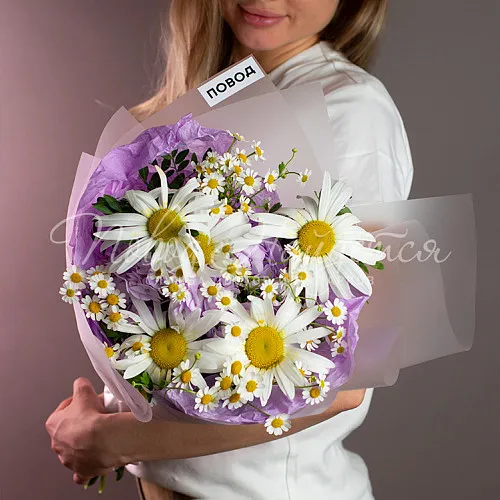 РОМАШКИ Букет Прелесть полей