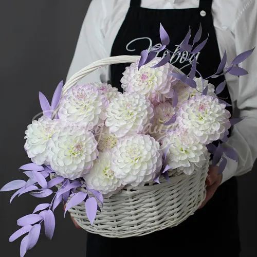 ГЕОРГИНЫ Букет Шарики пломбира