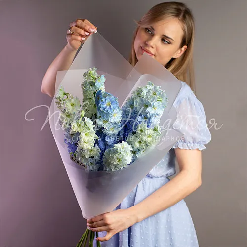 Цветы Букет Голубой небосвод
