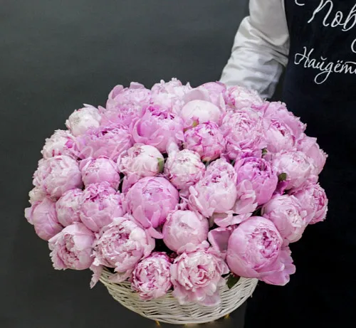 ПИОНЫ Букет Лазурный берег