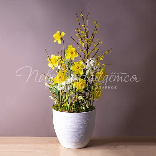 Дизайнерские букеты Букет Ранняя оттепель