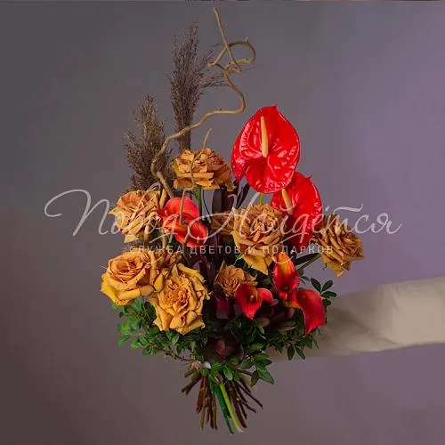 Коллекции Коллекция Маэстро