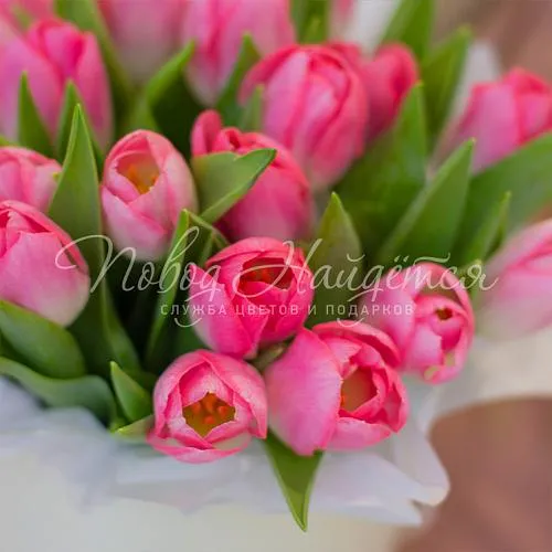 ТЮЛЬПАНЫ Букет Нежная помадка