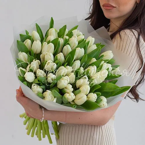 Моно Тюльпаны Букет Белая метелица