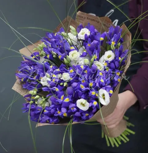 ИРИСЫ Букет Капризная